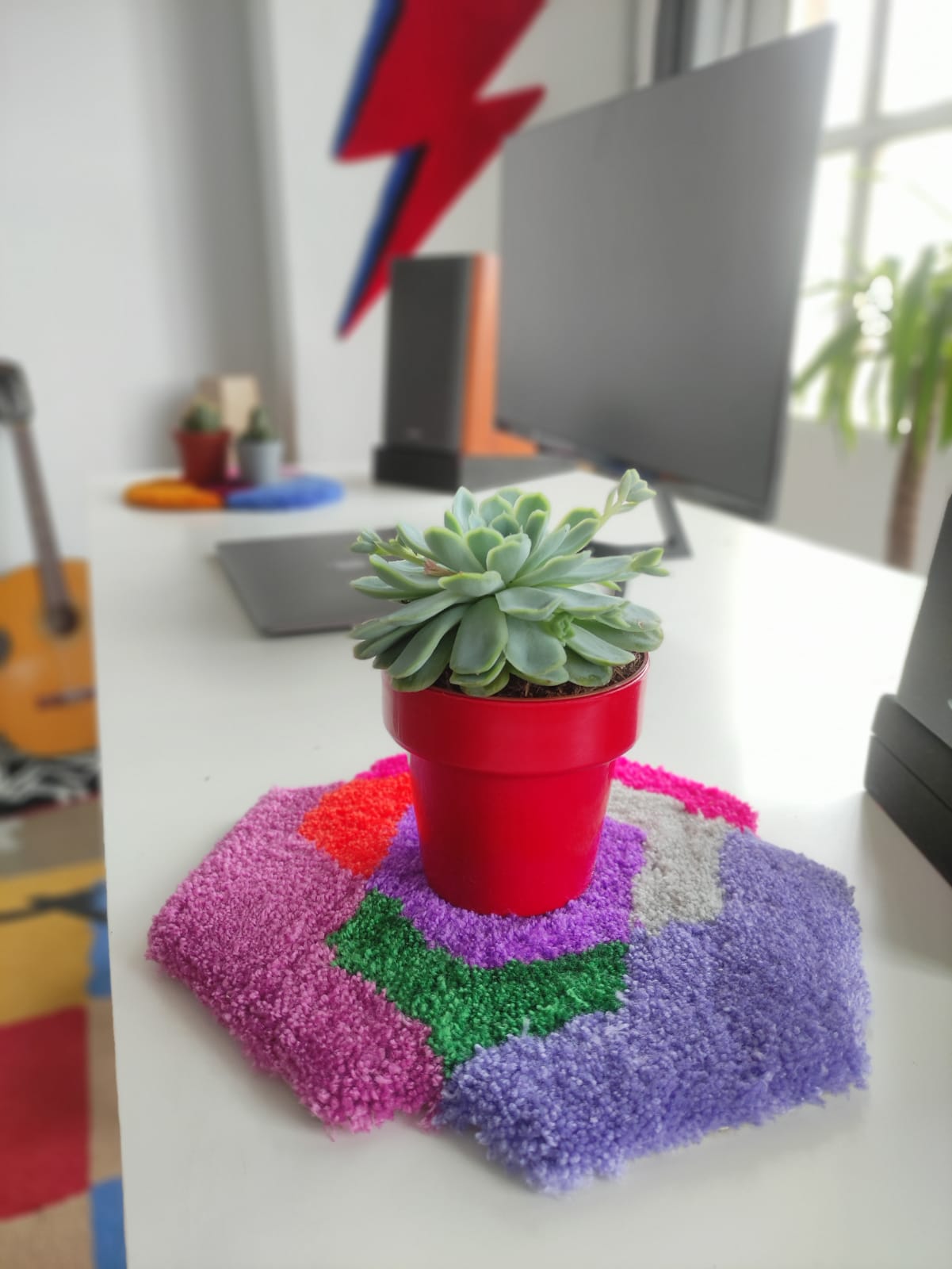 Tufted coaster with a small succulent