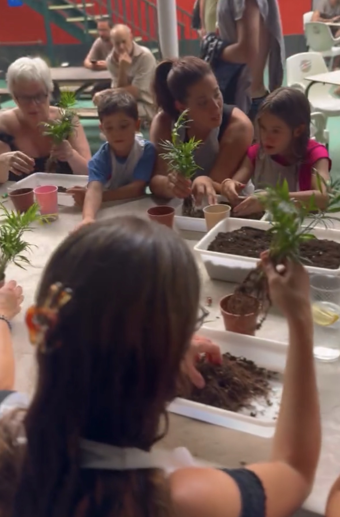 Planting workshop with participants at the camping.